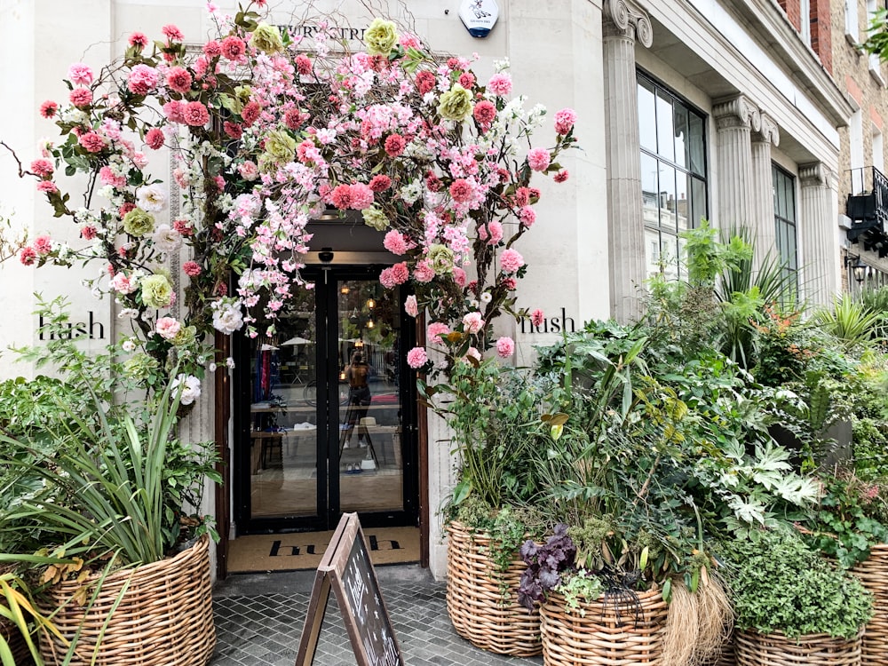 white building with baskets of plants at the front