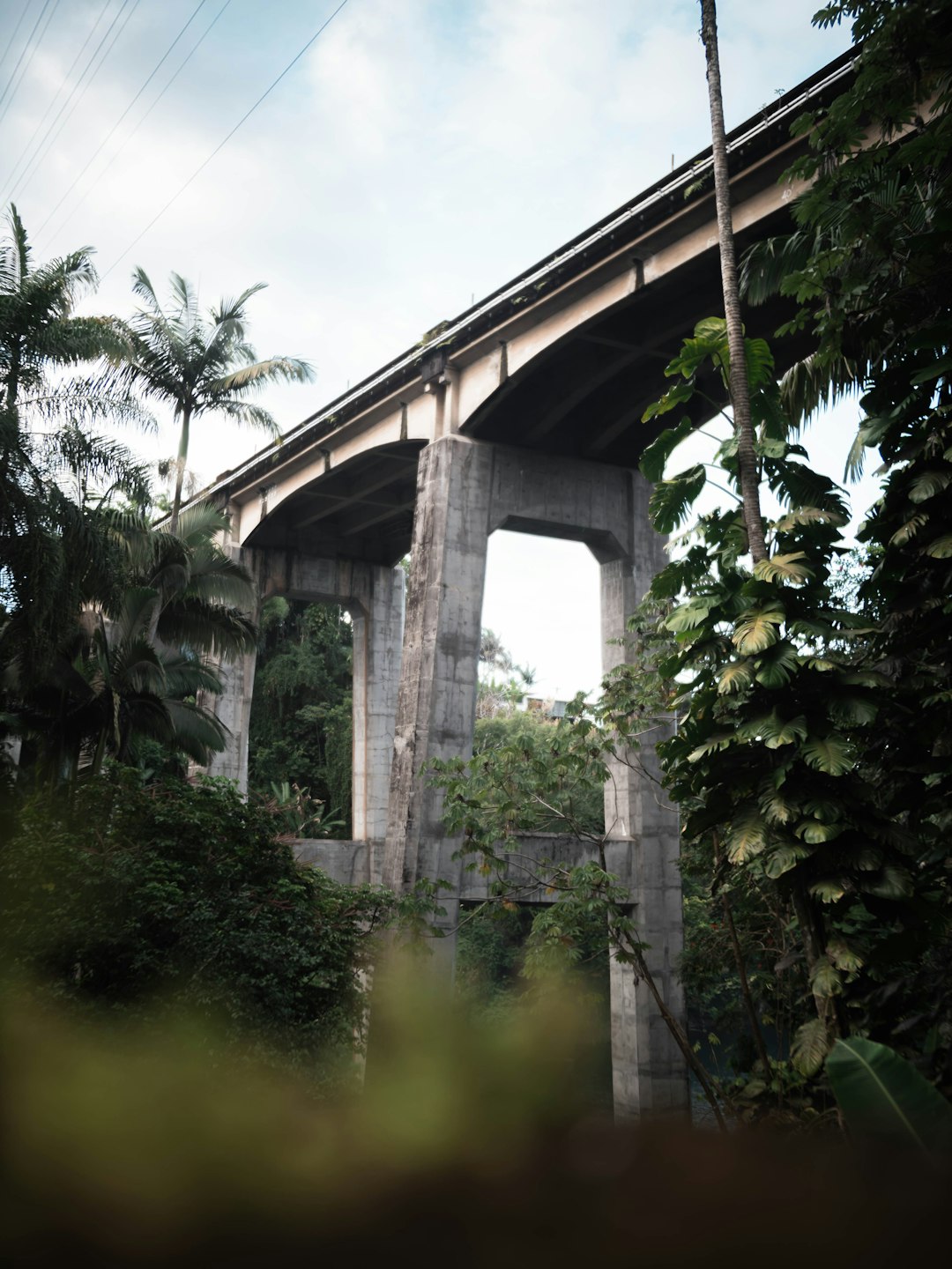 low angle of concrete bridge