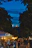 A bustling Asheville street showcasing warmly lit restaurant patios at dusk.
