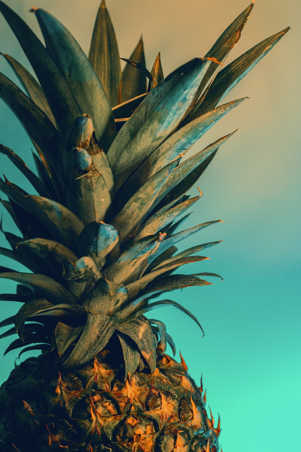 yellow pineapple with blue background