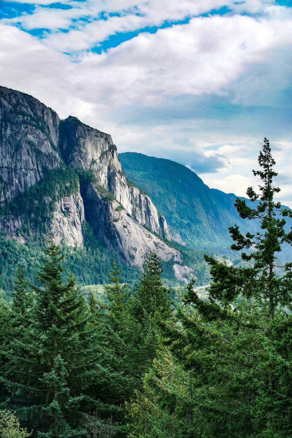 forest and mountains under white clouds