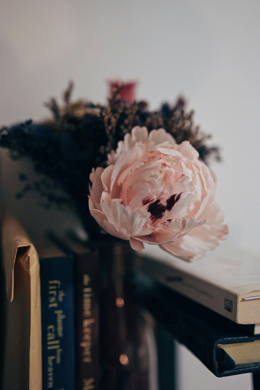 pink rose selective focus photo