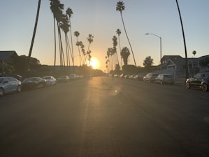 A warm, inviting photo of a local Central Florida neighborhood street lined with palm trees at sunset.