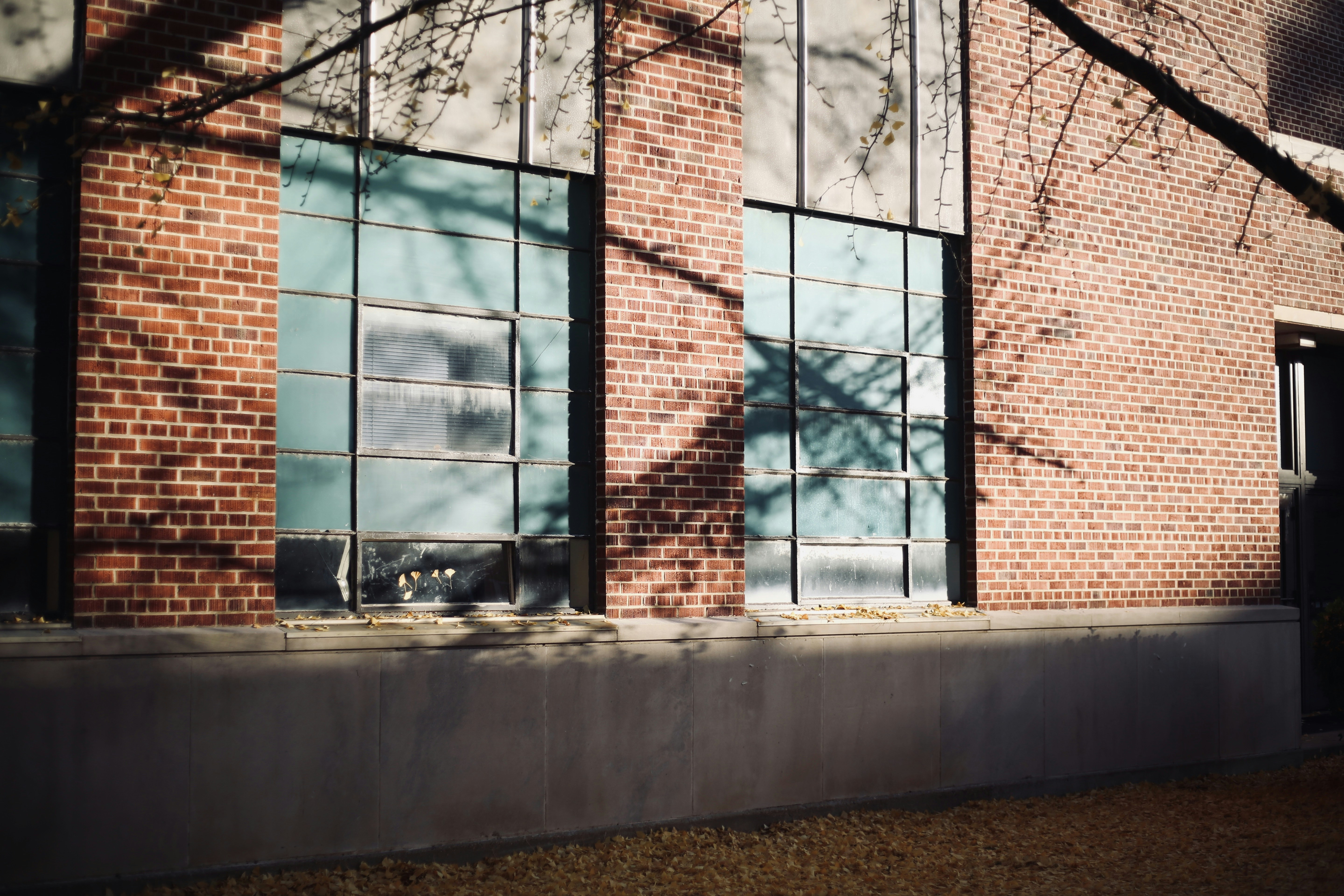 Photo by emilydafinchy