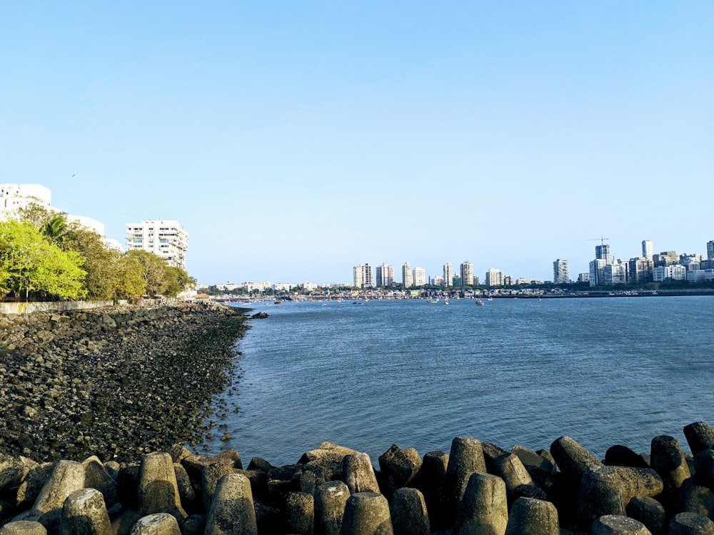 city with high-rise buildings viewing blue sea under blue and white sky during daytime