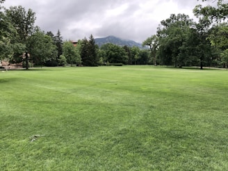 An expansive, well-maintained green lawn is surrounded by lush trees. In the background, there are distant mountains partially obscured by clouds, creating a serene and spacious park-like setting.