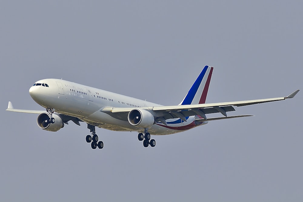 blue, red, and white airplane in flight