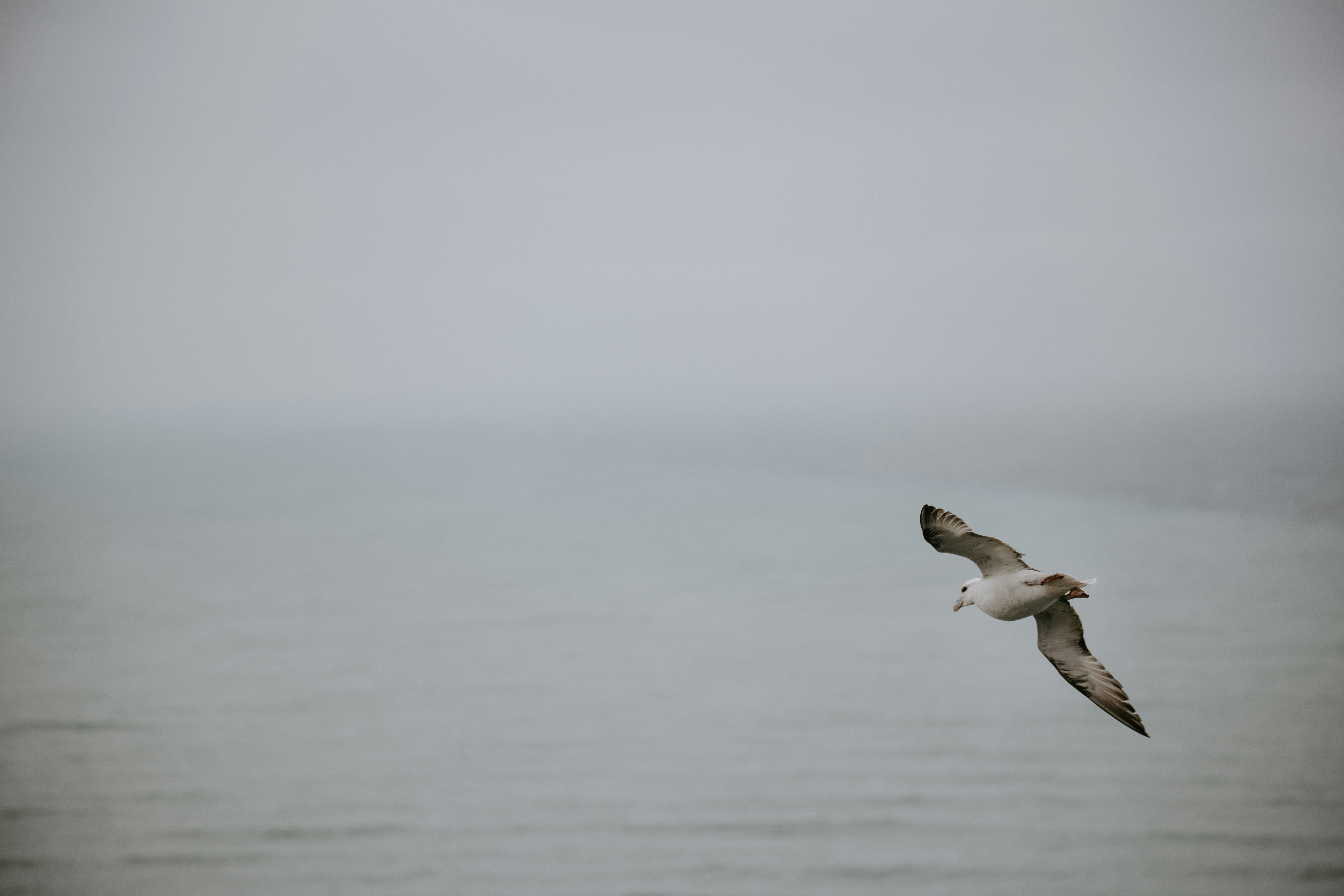 Photo by hariprasad000