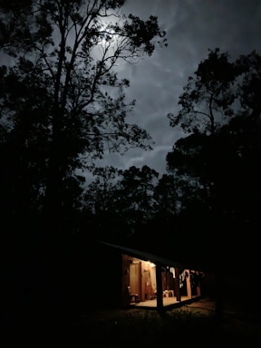 A cozy home porch at dusk with the mosquito hotel insect trap quietly working nearby.