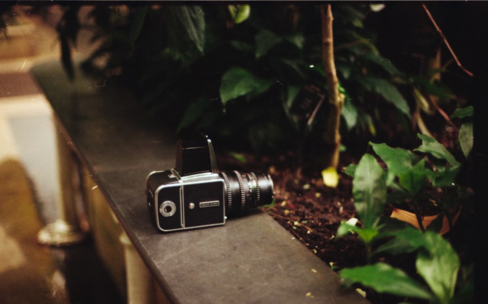 selective focus photography of camera beside plants