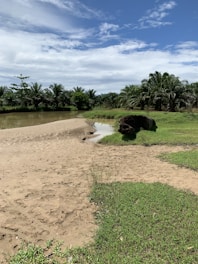 A beautiful beachfront land plot in Rio das Ostras with lush greenery.