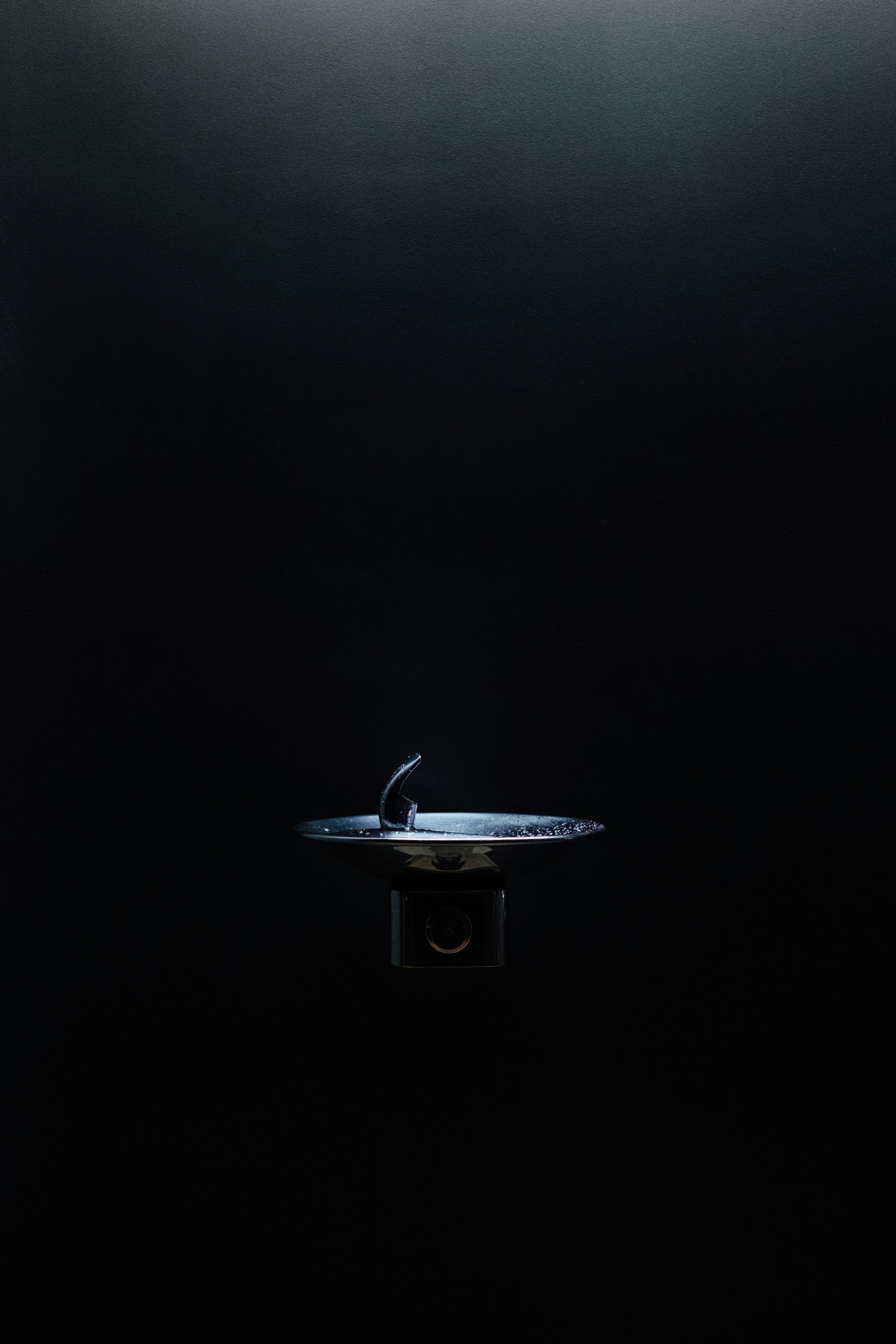 a bird sitting on top of a table in a dark room