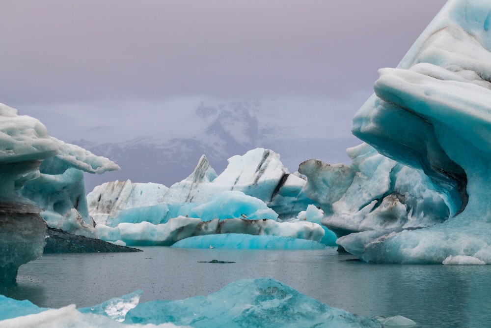 body of water surrounded with ice mountains