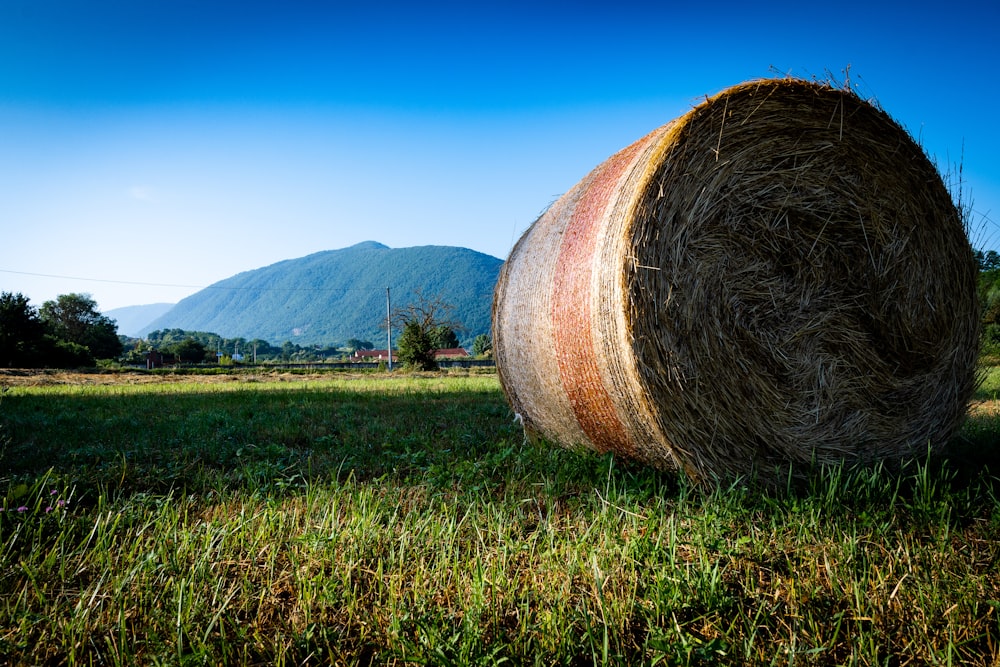 view of hay at the farm