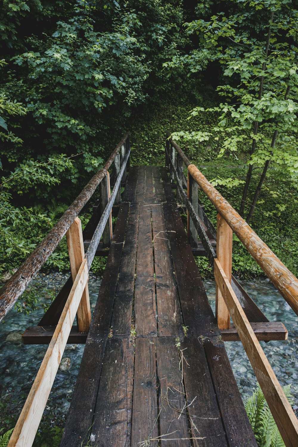 ponte de madeira marrom