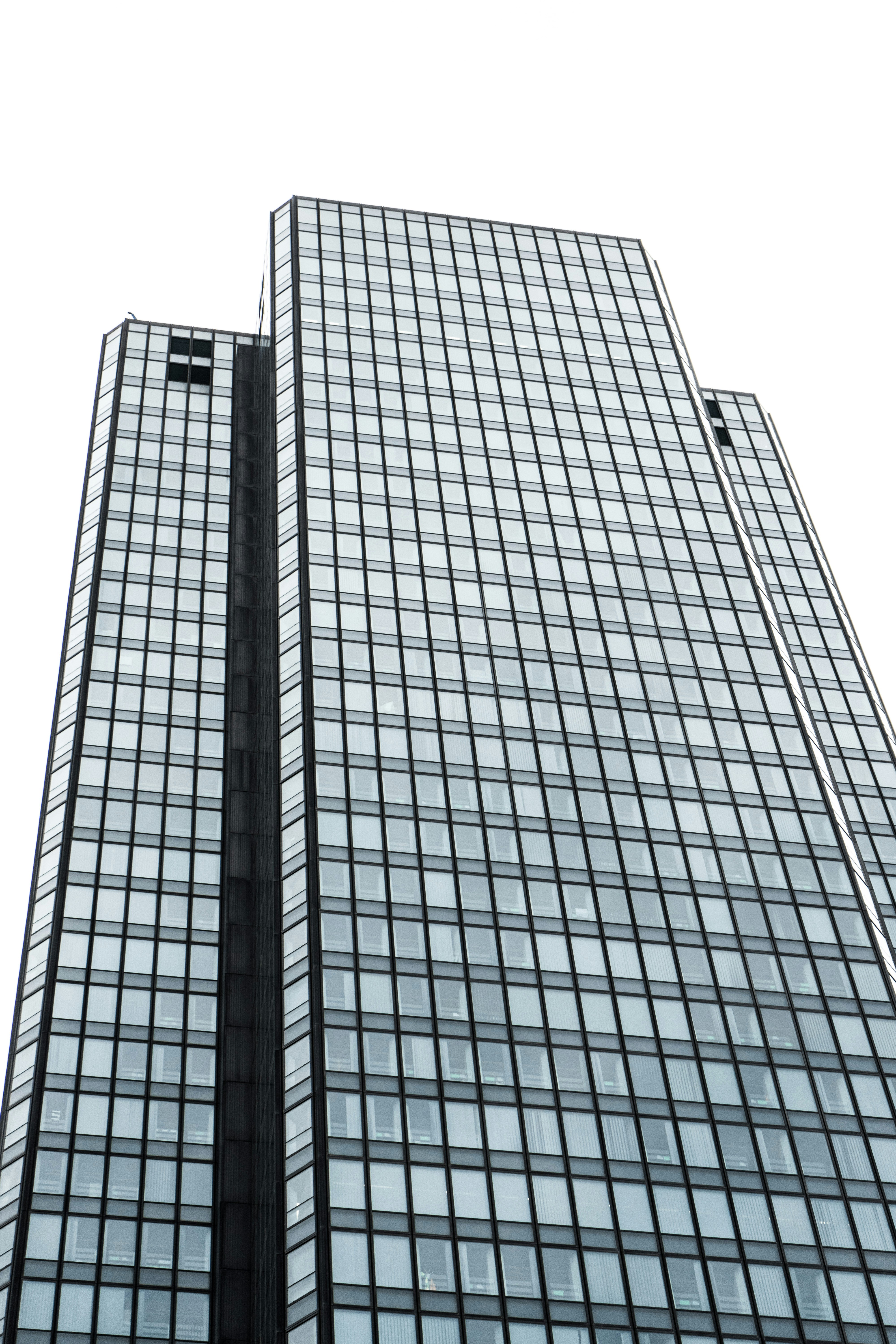 Photo by virussinside