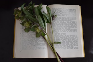 An open book, displaying two pages filled with text in a foreign language, is laid flat. Across the pages, a stem of green leaves and small flowers rests, creating a natural bookmark effect. The background is dark, providing a contrast that highlights the book and botanical elements.