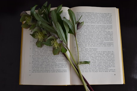 An open book, displaying two pages filled with text in a foreign language, is laid flat. Across the pages, a stem of green leaves and small flowers rests, creating a natural bookmark effect. The background is dark, providing a contrast that highlights the book and botanical elements.