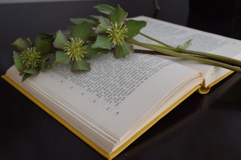 green-leafed plant