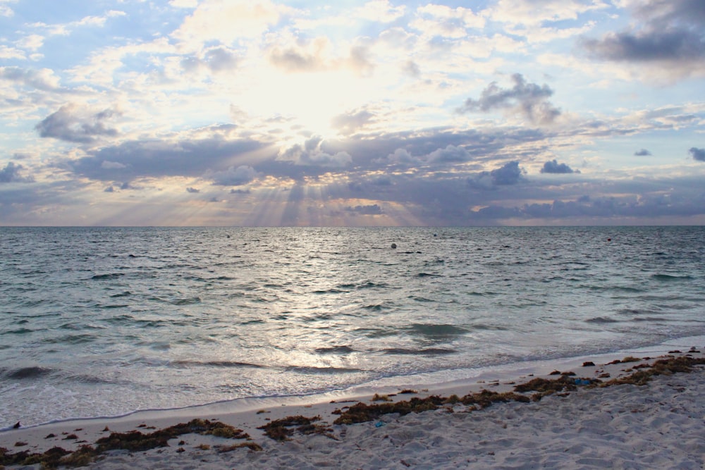 white sand beach at daytime