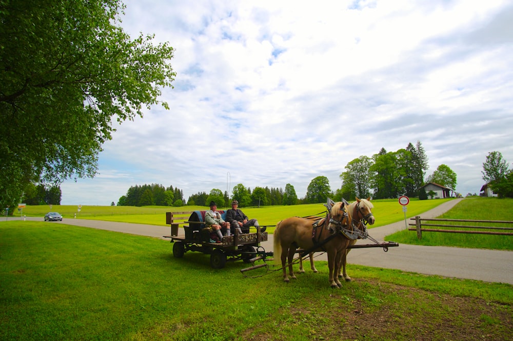 people on carriage