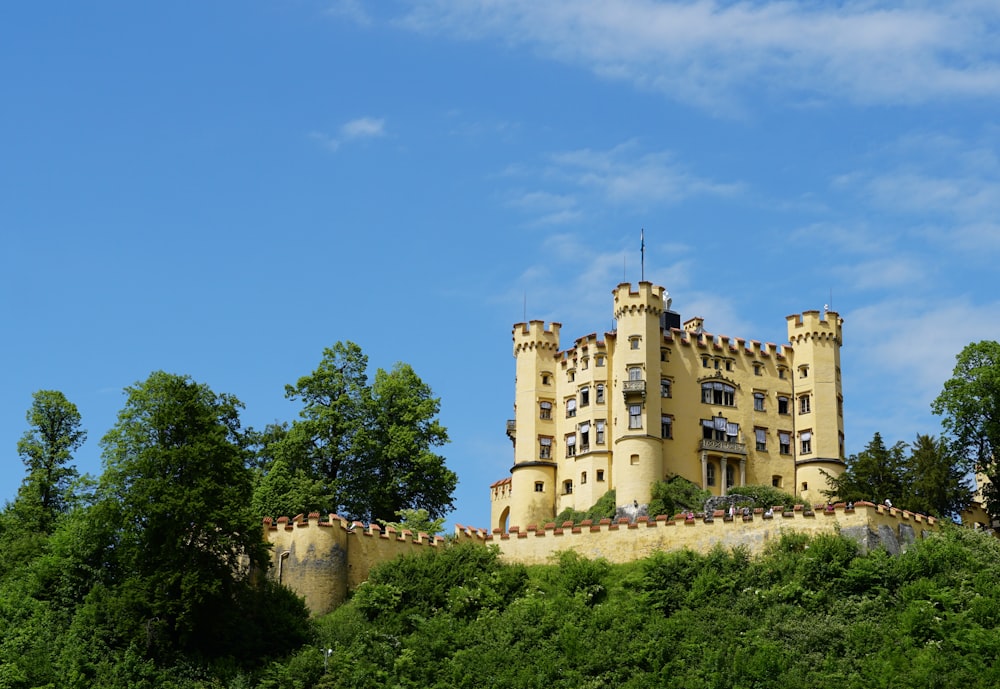 castle surrounded with trees