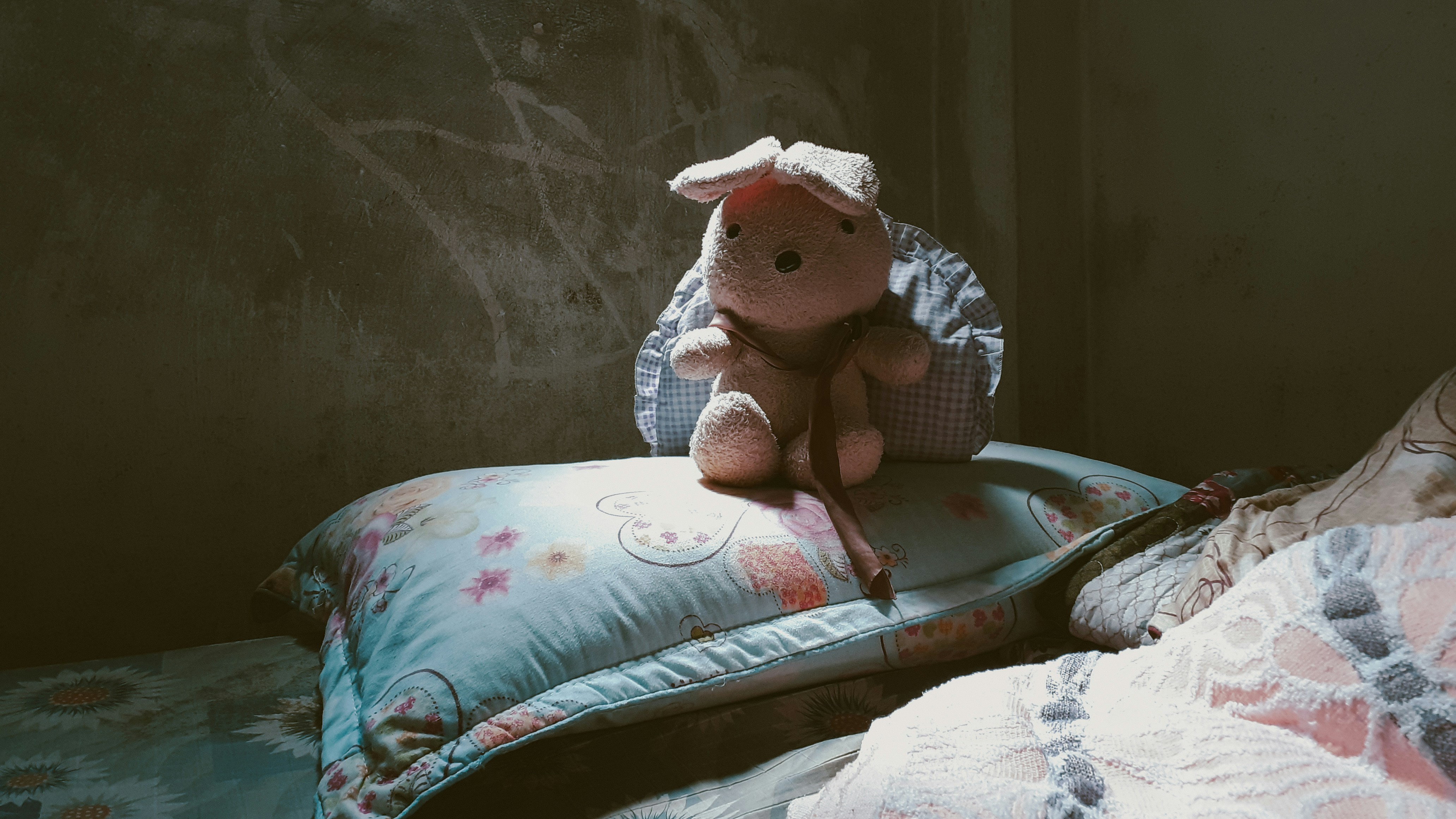 Teddy Bear 'Alone'