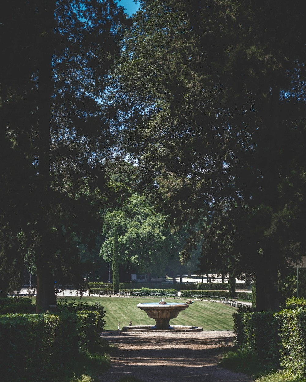 gray fountain during green leaf tree