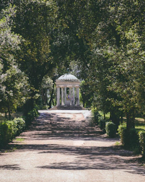 white gazebo surrounded of green leaf tree
