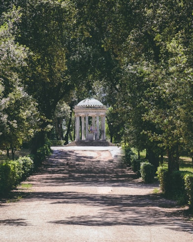 white gazebo surrounded of green leaf tree