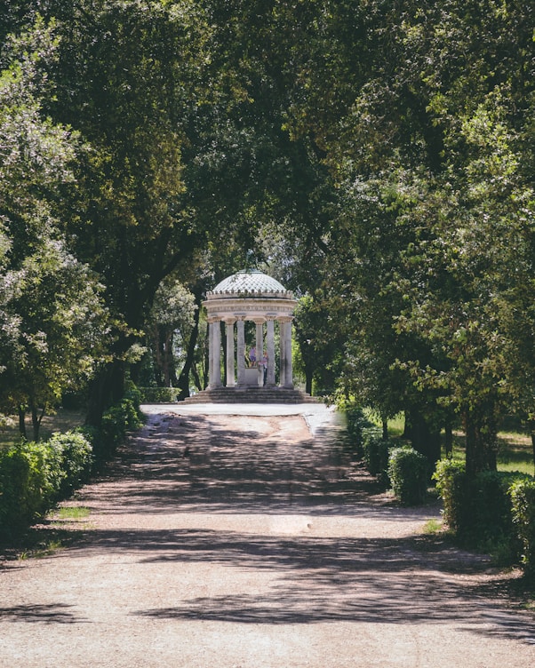 white gazebo surrounded of green leaf tree