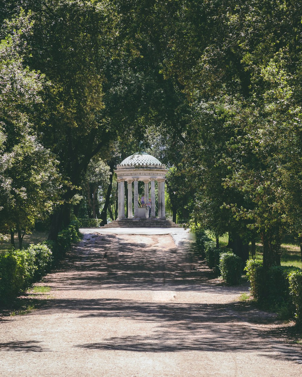 white gazebo surrounded of green leaf tree