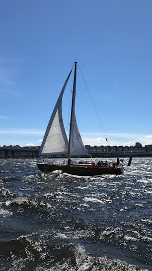A sailboat with large, white sails glides across choppy waters, with several people visible on board. The sky is clear and blue, and there are buildings and a bridge visible in the background, suggesting a coastal or harbor setting.