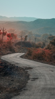 view of dirt road through rural area
