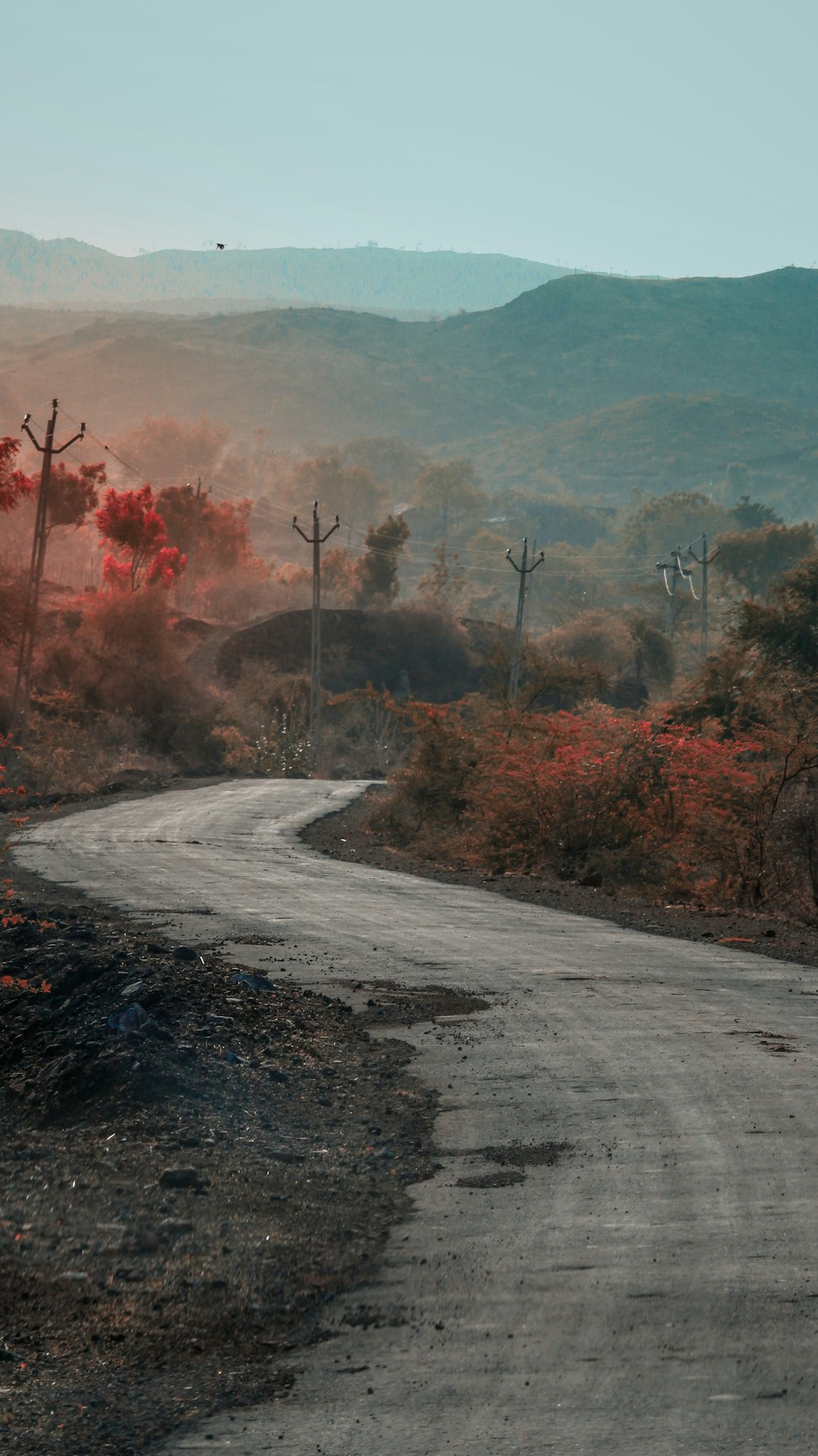 view of dirt road through rural area