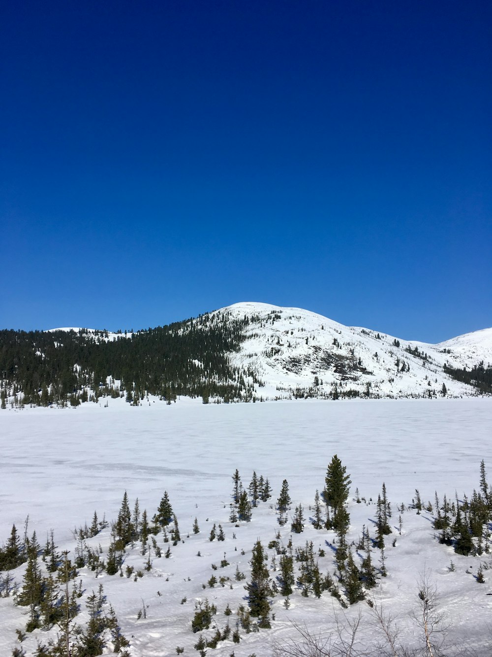 mountain and field covered with snow