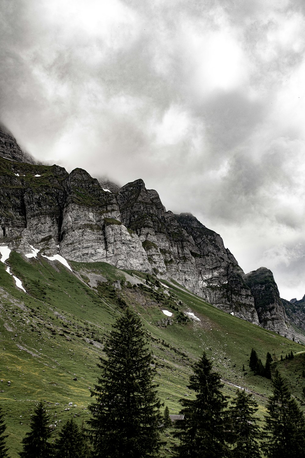 cliff near trees