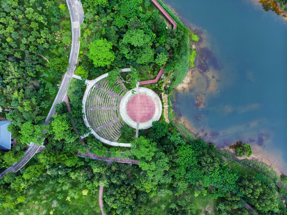 Vista aérea de árboles cerca del océano durante el día