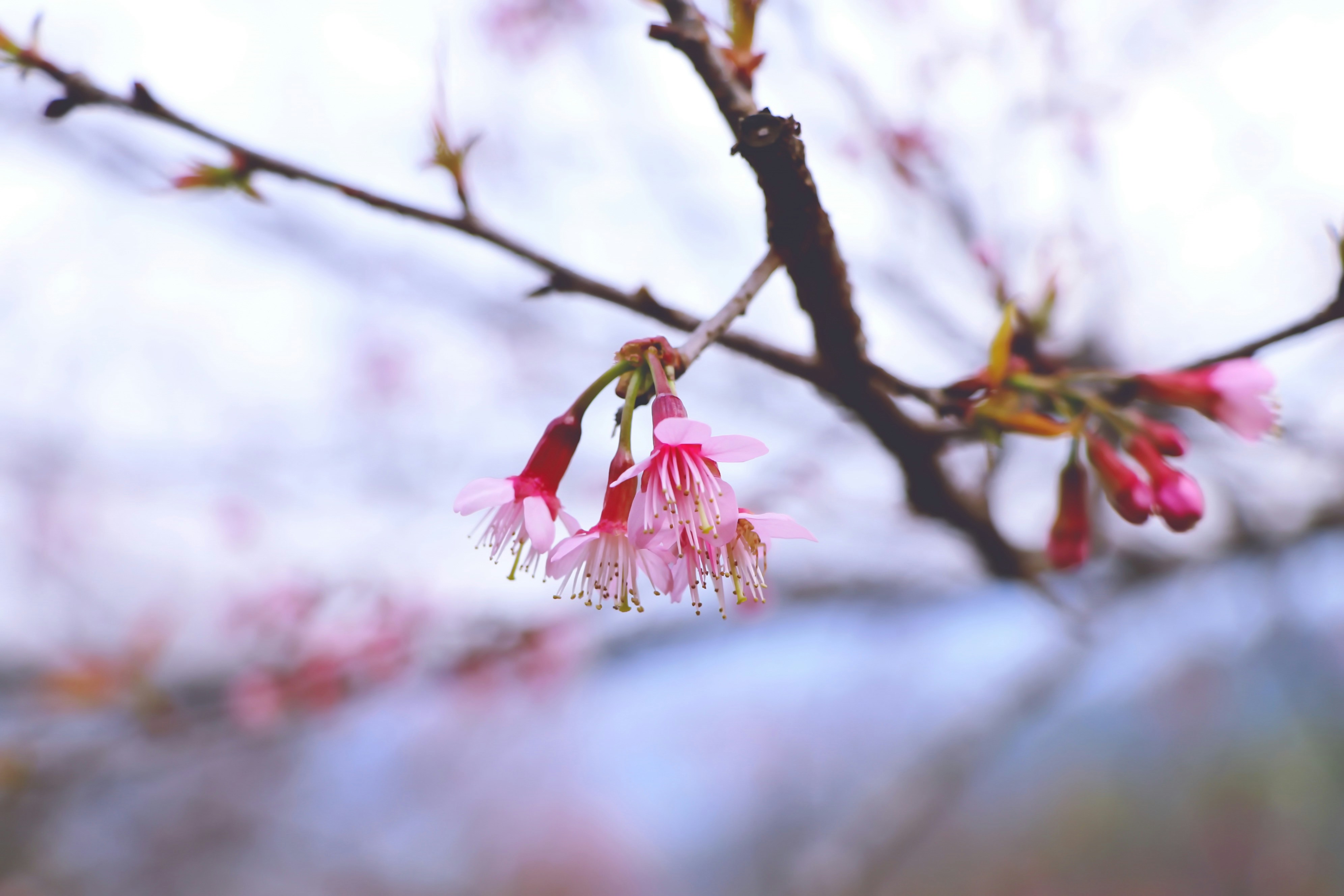 Photo by thaejirapon