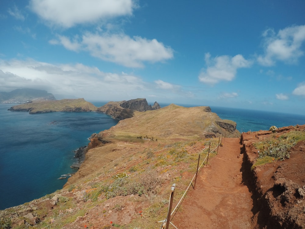 pathway near body of water at daytime