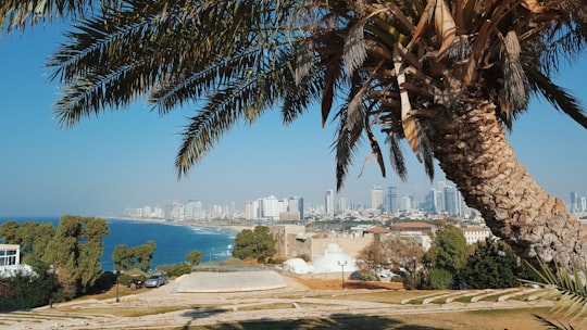 Abrasha Park things to do in Ashkelon