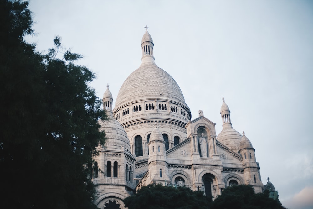 white cathedral near tree at daytime