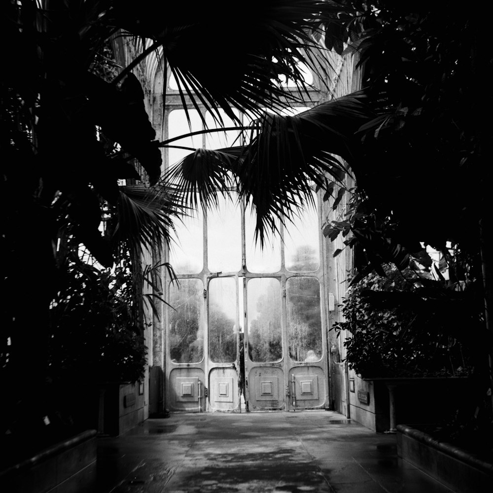 a black and white photo of a large window