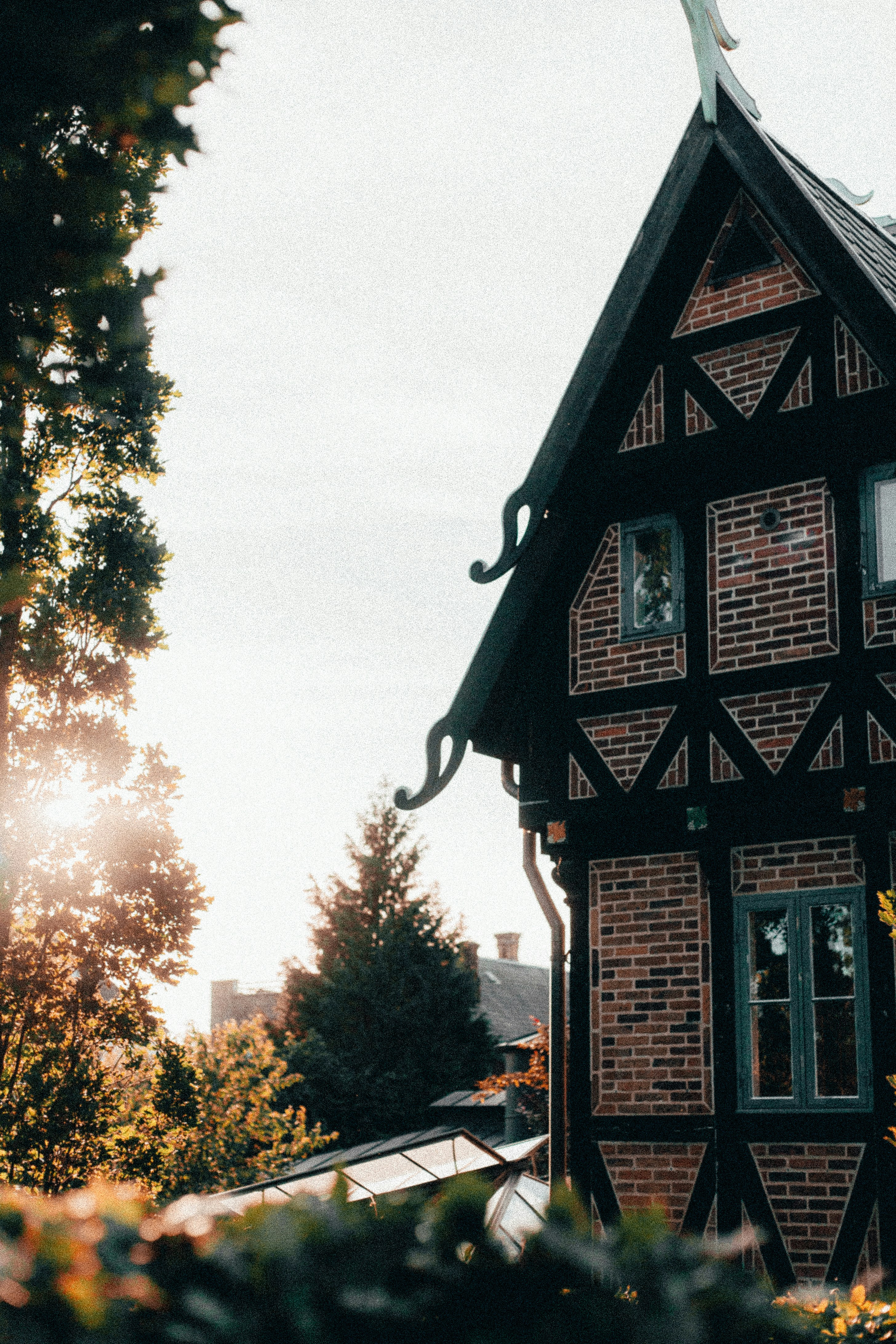 Photo by turutututuu