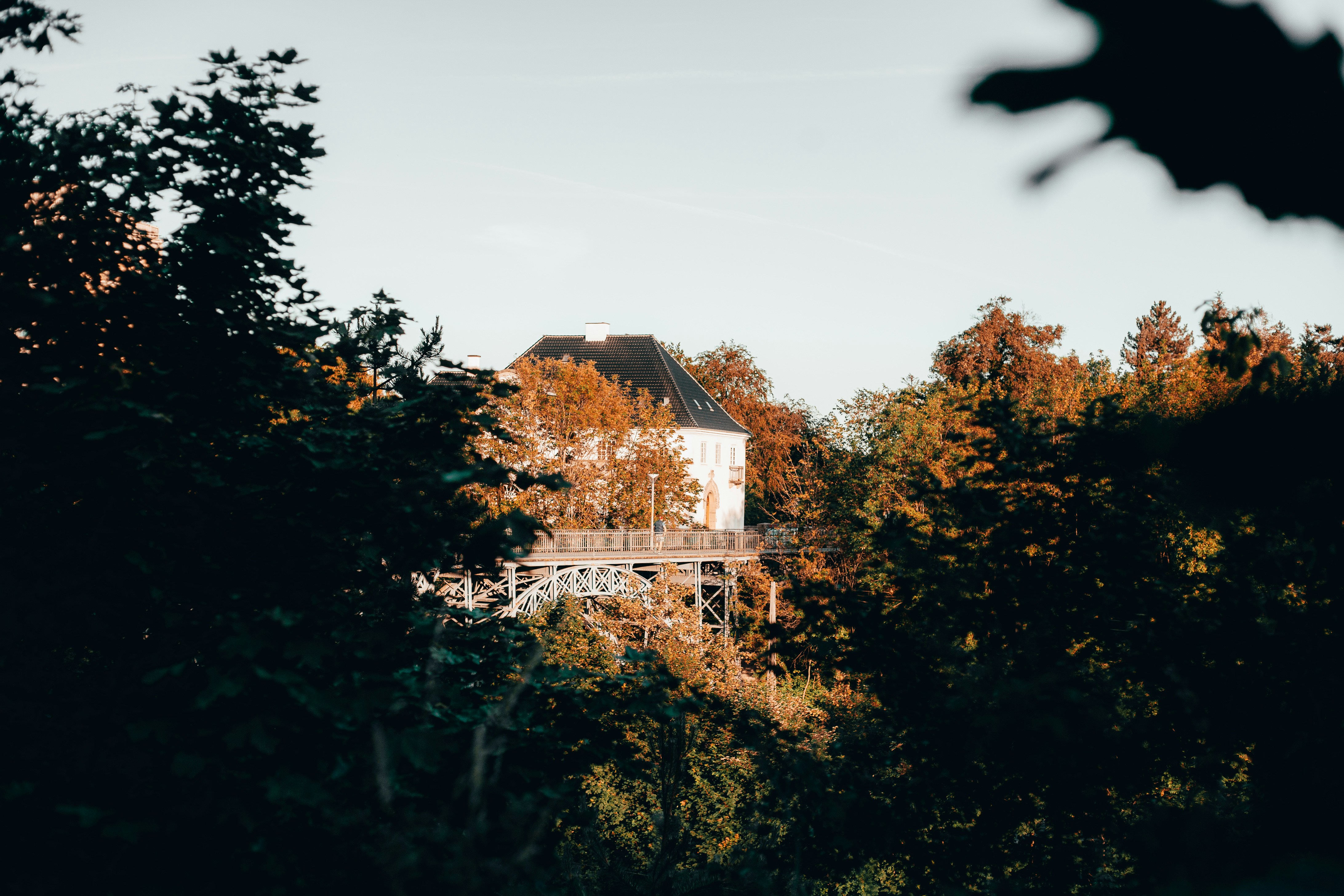 Photo by turutututuu