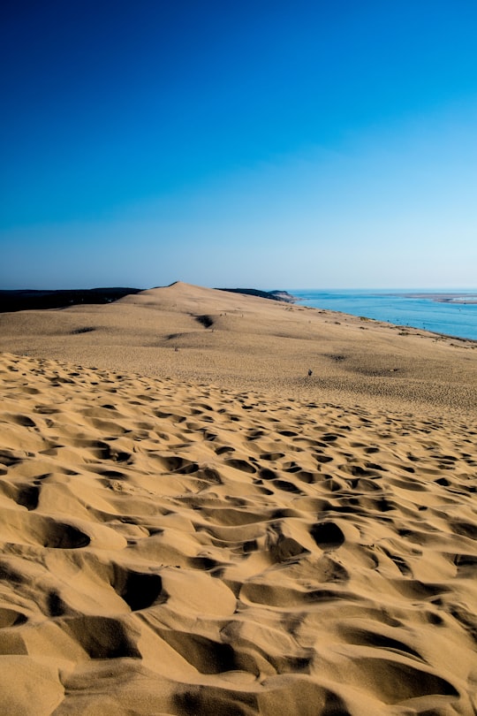 beige sand in Dune du Pilat France