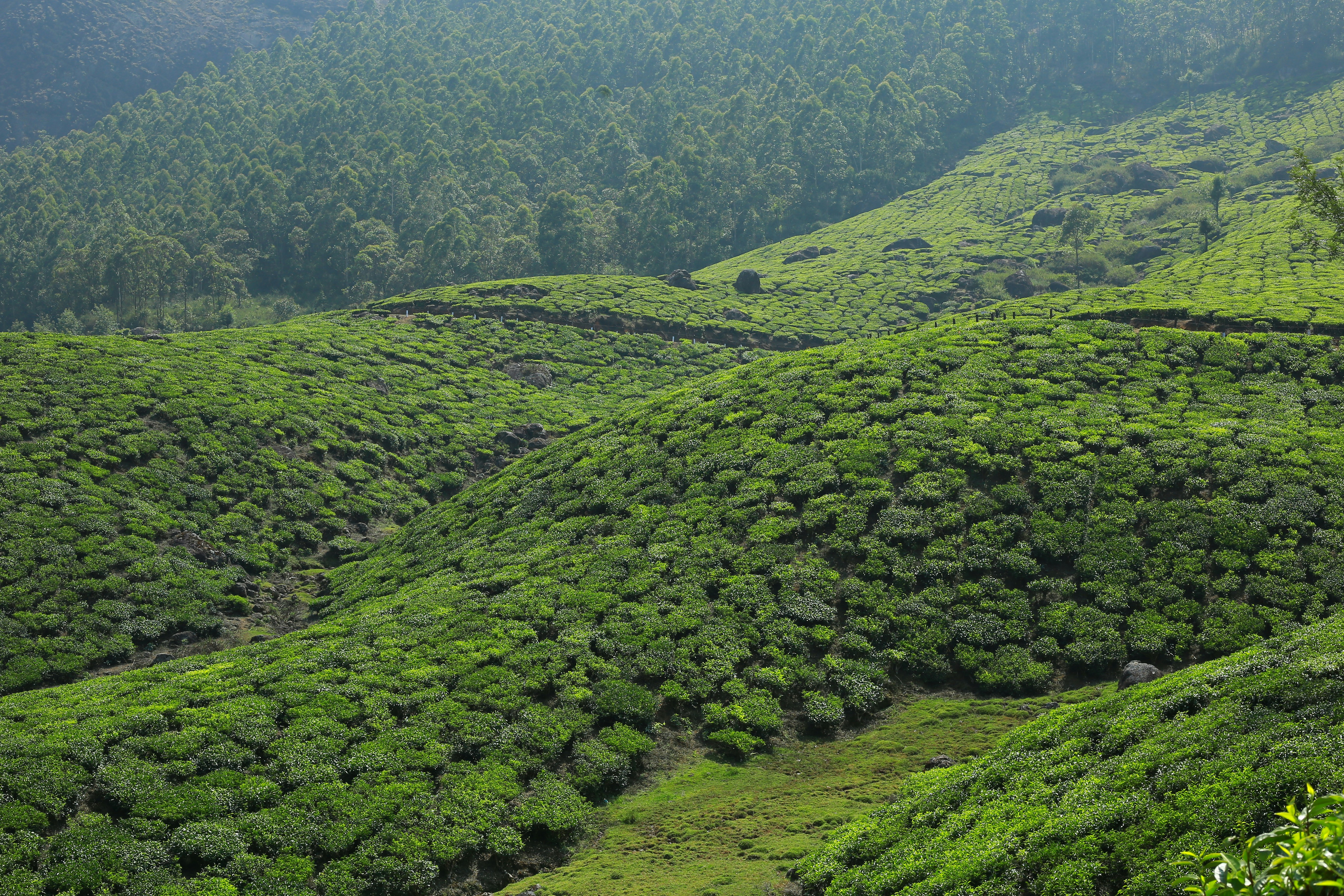 Photo by wilsanphotography