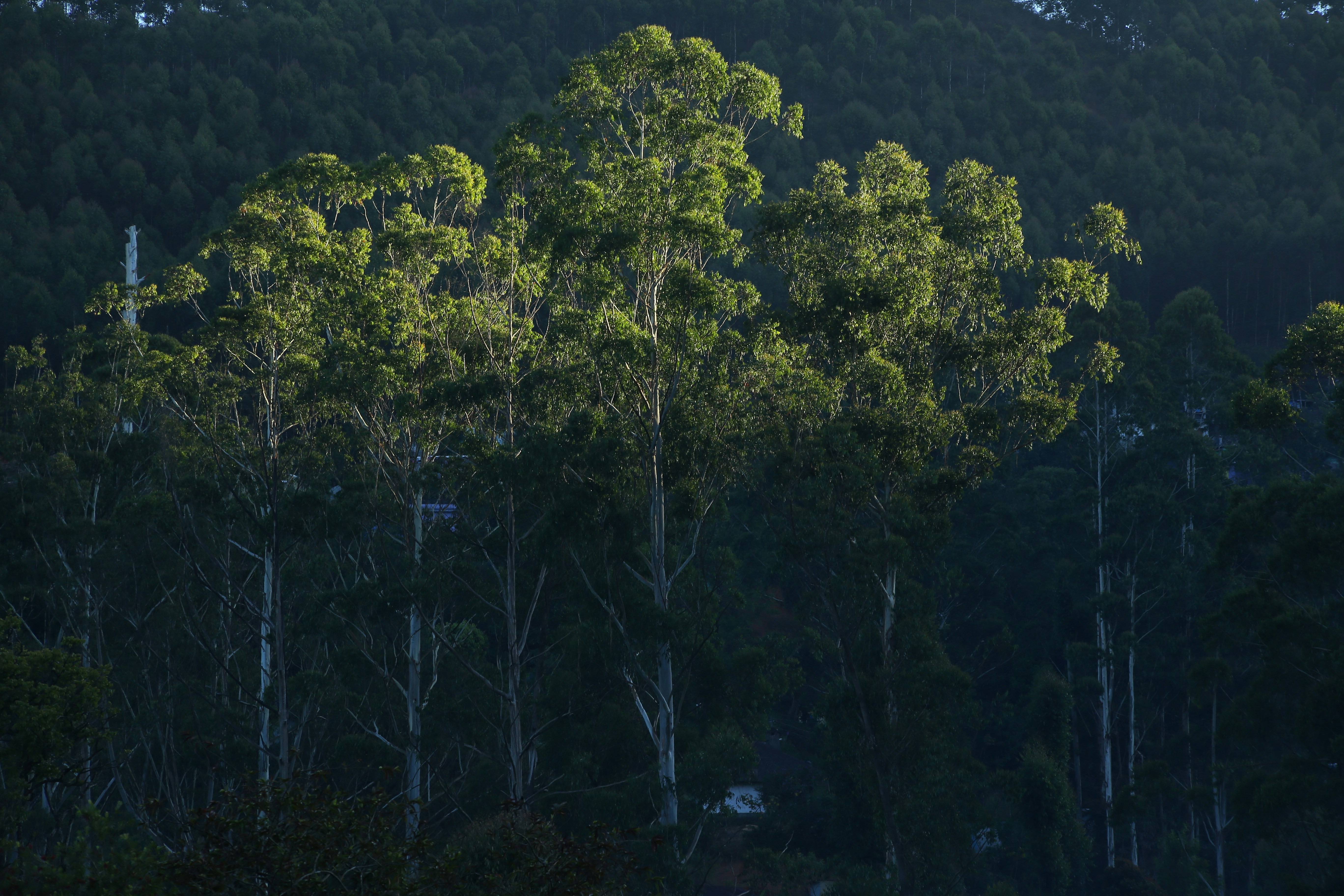 Photo by wilsanphotography