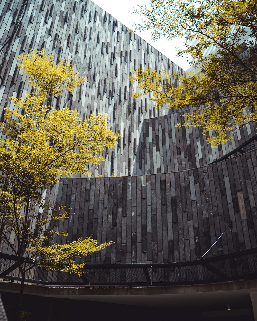 gray concrete building beside trees