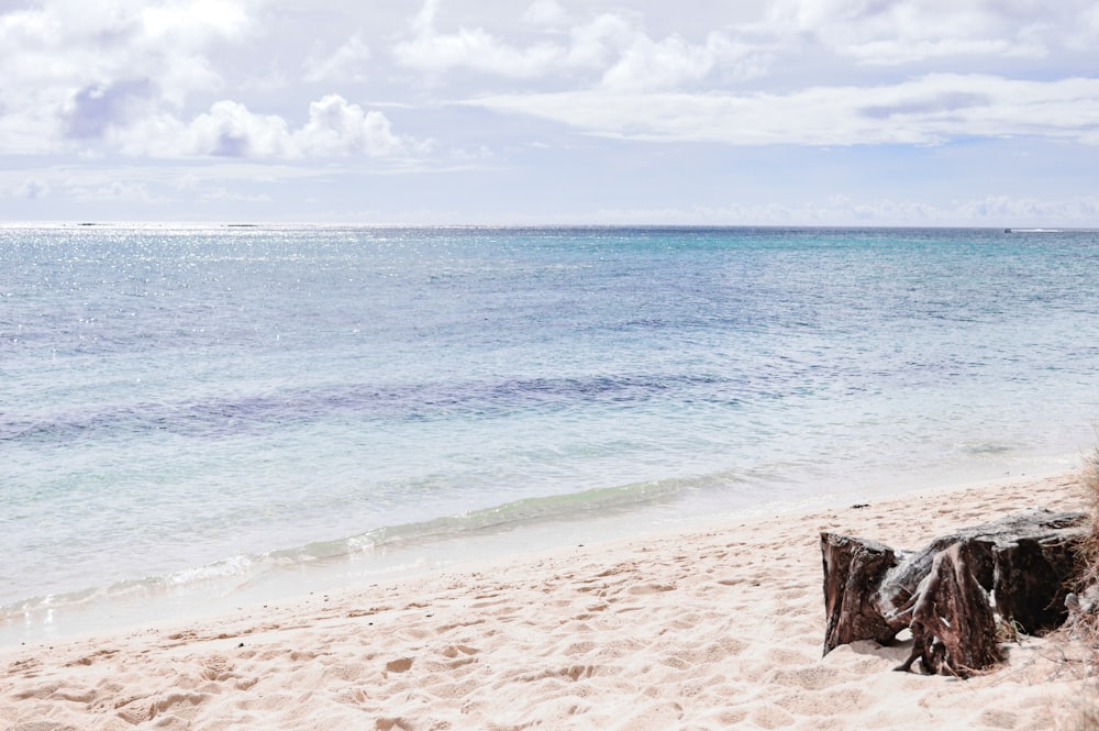 gray sand on seashore under cloudy sky during daytime